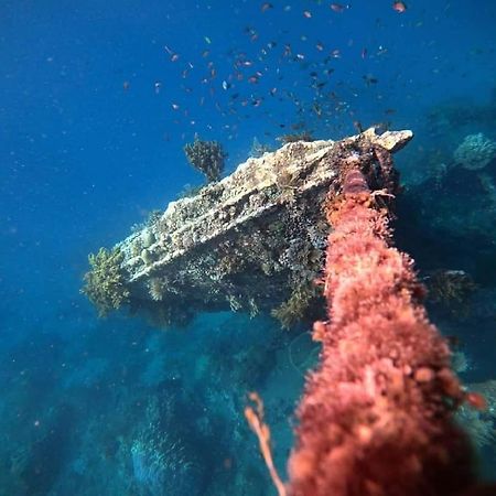 Jemeluk Beach Bungalows アメッド エクステリア 写真