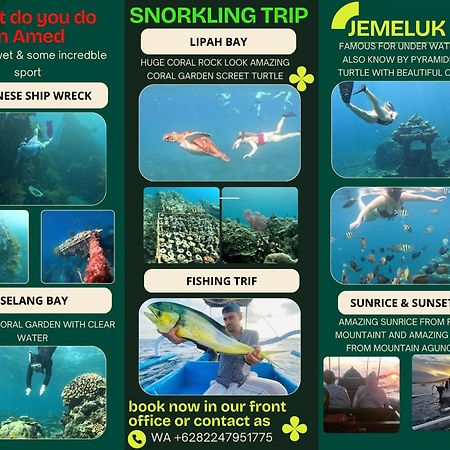 Jemeluk Beach Bungalows アメッド エクステリア 写真