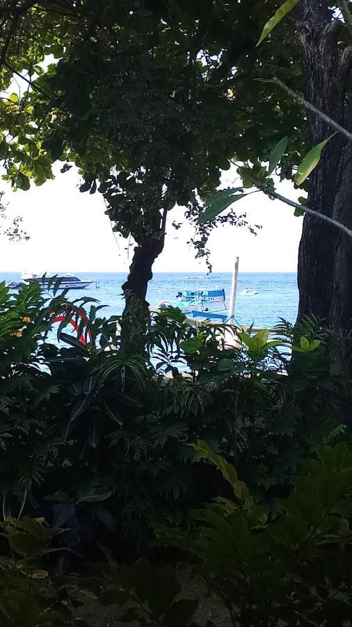 Jemeluk Beach Bungalows アメッド エクステリア 写真